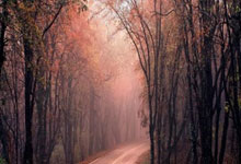 AC米兰客场不败纪录延续，稳固球队位置