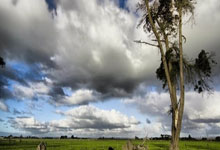 热血对决！CBA季后赛高潮迭起