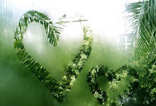 博恩茅斯连续两场失利，士气受挫需调整